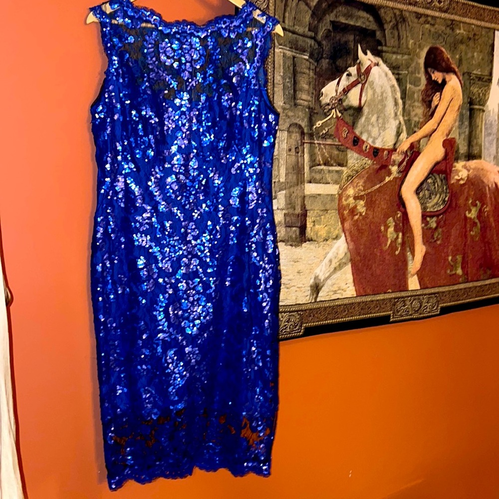 Tadashi Shoji Sequin metallic 💙 Illusion Lace Cocktail Dress Size 14